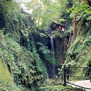 Shanklin Chine