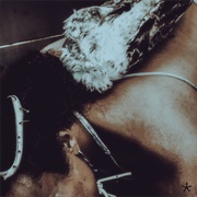 Iceboy Violet - Not a Dream but a Controlled Explosion