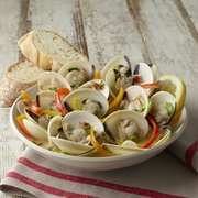 Lyrate Asiatic Hard Clam (Meretrix Lyrata)