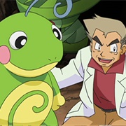 607. a Faux Oak Finish!