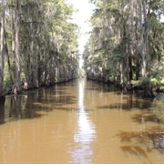 Caddo Lake