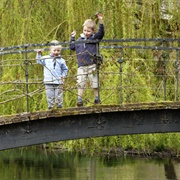 Play Pooh Sticks