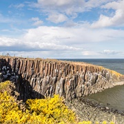Cullernose Point, Northumberland, England