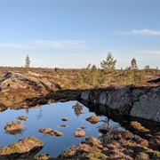 Vätsäri Wilderness Area, Finland