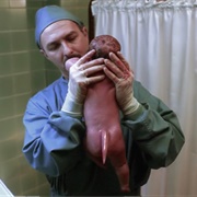 The X-Files: "Small Potatoes" (S4,E20)