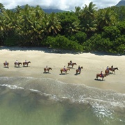 Horse Riding at Cape Tribulation