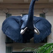 The George Eastman Museum