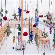 Suspended Flowers