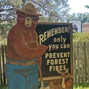 Smokey Bear's Grave