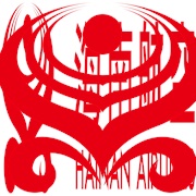 Hainan Airlines (Chinese Company)