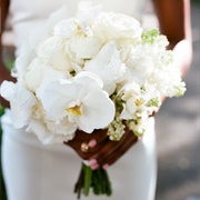 All White Bouquets