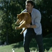 Unnamed Cat (Gone Girl, 2014)