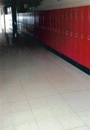 David Winthrop's Story (Dale Doggett)