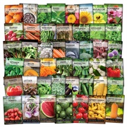 Garden Seeds