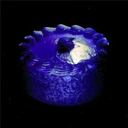 The Witches - Universal Mall