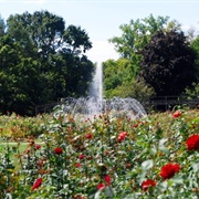 Columbus Park of Roses