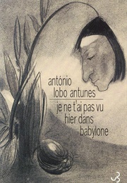 Je Ne T'ai Pas Vu Hier Soir Dans Babylone (António Lobo Antunes)
