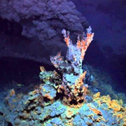 Hydrothermal Vents