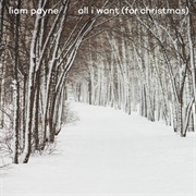 All I Want for (For Christmas) - Liam Payne