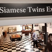 Siamese Twins Exhibit
