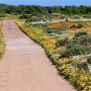 West Coast National Park