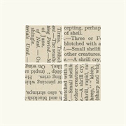 Richard Skelton - Verse of Birds