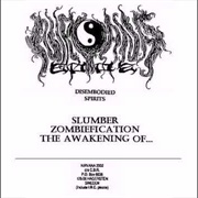 Nirvana 2002 - Disembodied Spirits