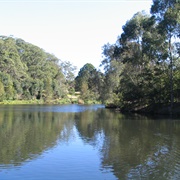 Lane Cove National Park