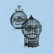Rule #8-Otherside - Fish in a Birdcage, Chloe Anne Lloyd