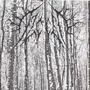 Alcest - Tristesse Hivernale