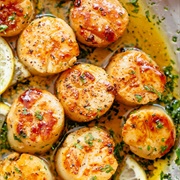 Scallops