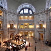 National Museum of Natural History, DC