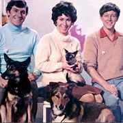 Kids' TV on the Streets - Blue Peter Crew Go to London