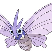Venomoth