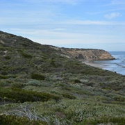 Cheviot Beach