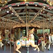 The Carousel in Prospect Park