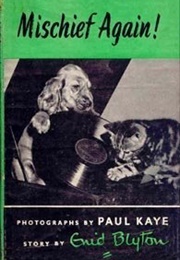 Mischief Again (Enid Blyton)