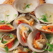 Smooth Clam (Callista Chione)