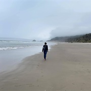 Walk Along the Beach, Oregon Coast