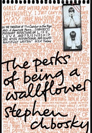The Perks of Being a Wallflower (Stephen Chbosky)
