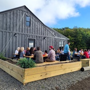 Mystic Hills Brewing