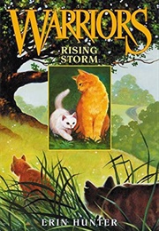 Rising Storm (Arc 1 Book 4)