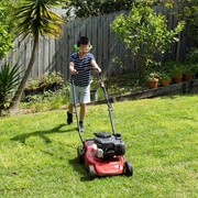 Mow Lawn