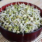 Mung Bean Sprouts