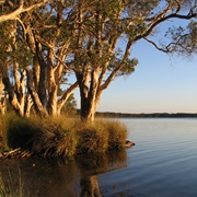 Myall National Park