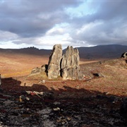Beringia National Park