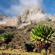 Mt Kenya, Kenya