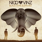 Am I Wrong - Nico & Vinz