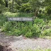 Salsbury Spring