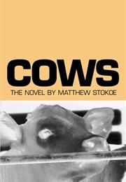 Cows ((Matthew Stokoe))
